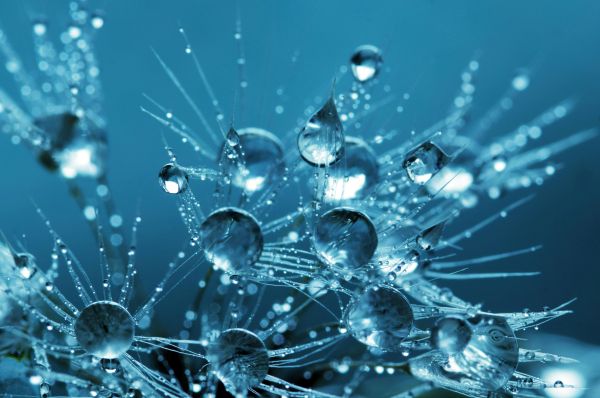 Crystal Clear Displays
